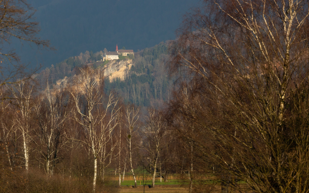 Lauteracherried im Jänner 57